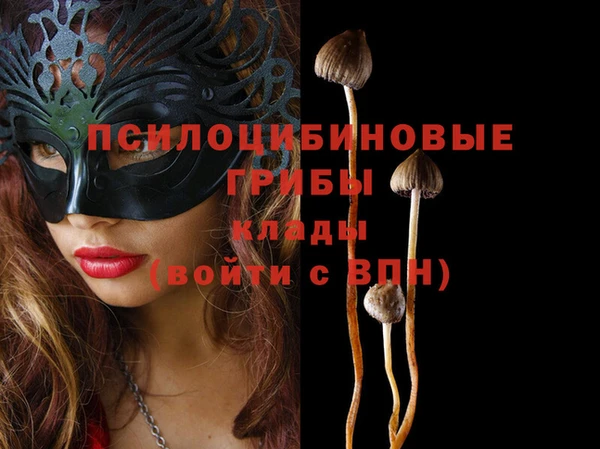 ALPHA PVP Новозыбков