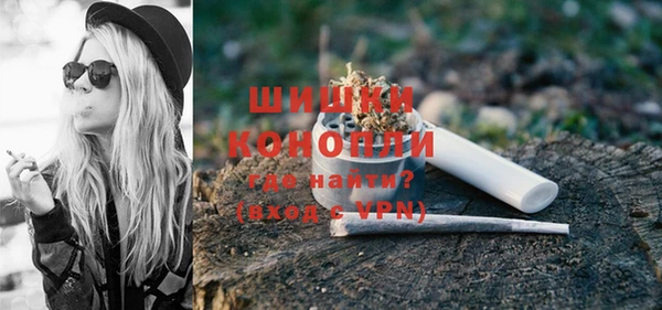 хмурый Богородицк