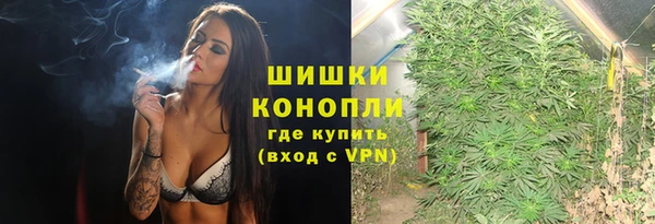 ALPHA PVP Новозыбков