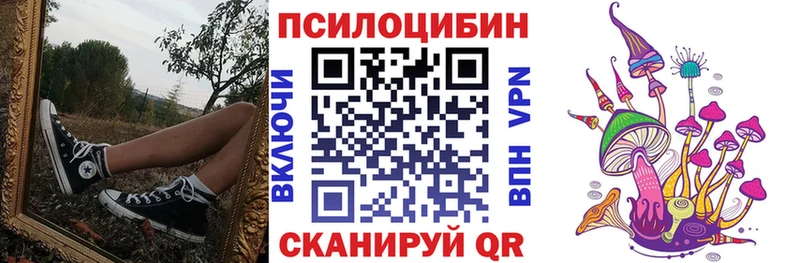 Галлюциногенные грибы Cubensis  маркетплейс какой сайт  Воронеж 