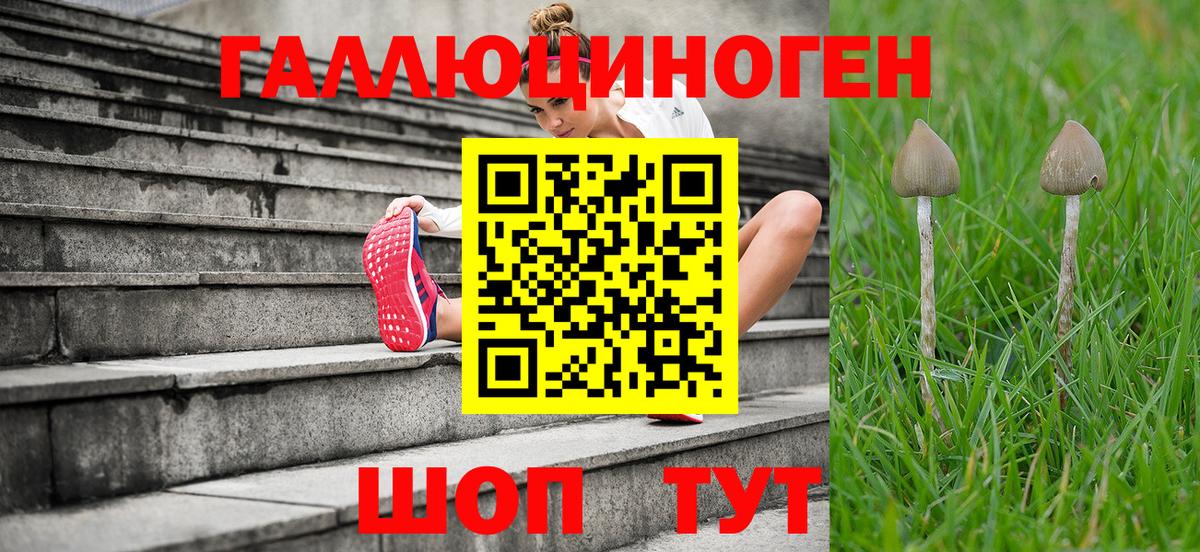 Галлюциногенные грибы Psilocybine cubensis  Вход с VPN  Воронеж 