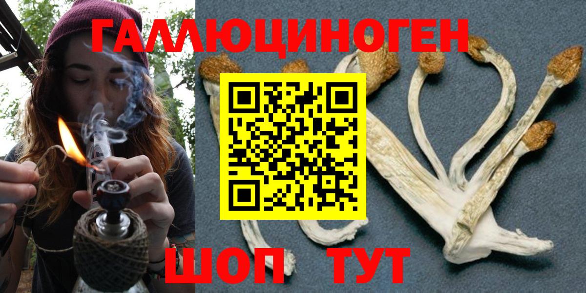 Псилоцибиновые грибы Psilocybe Воронеж