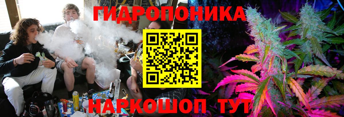 Шишки марихуана THC 21%  Каннабис планчик  Воронеж  Вход с VPN  Марихуана AK-47 